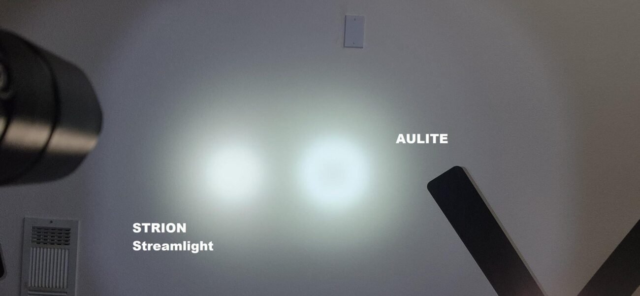 Image #1 from RAUL VIAU